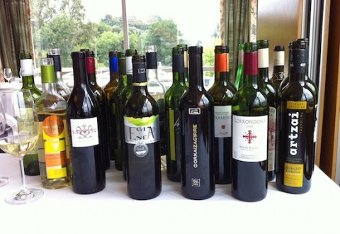 Algunos vinos catados de la DO botellas txaoli