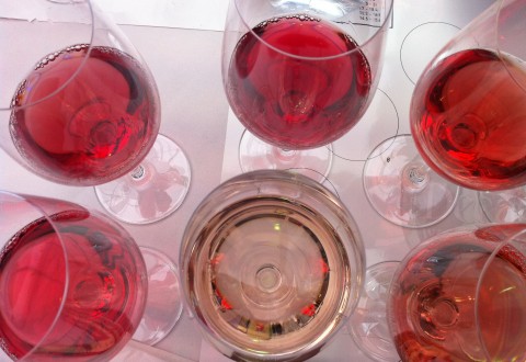 colores rosados vinos rosados