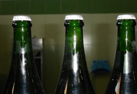 viaje al cava 001 copia cava