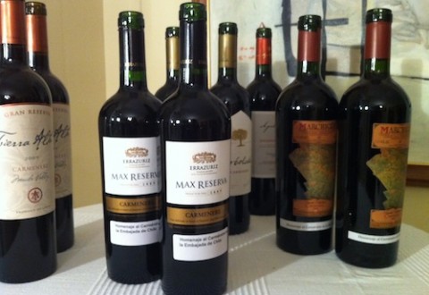 carmenere 2 Vinos chilenos de carménère